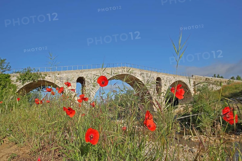 Roman stone arch bridge Pont Julien built 3rd century over the river Calavon with poppies, Roman bridge, Roman period, antique, bloom, low water, reflection, Bonnieux, Apt, Luberon, Vaucluse, Provence, France, Europe