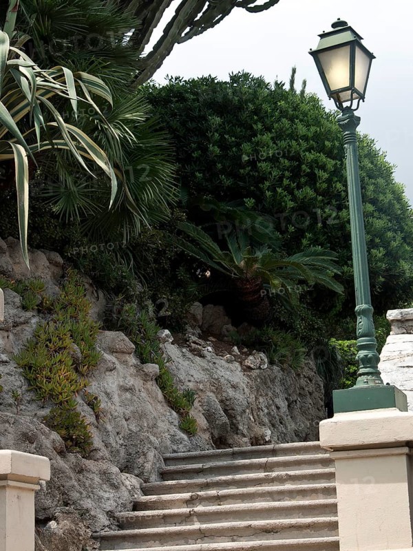 A steep stone staircase leads past densely overgrown plants and a green street lamp, monte carlo, monaco, france