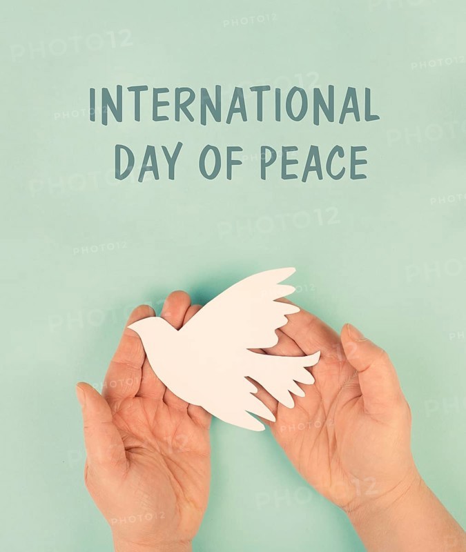 Dove flying from hand, international peace day, faith, freedom, charity and help concept, humanitarian aid