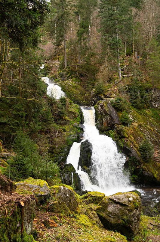 Triberg waterfall in the Black Forest, highest fall in Germany, Gutach river plunges over seven major steps into the valley, wooden bridge