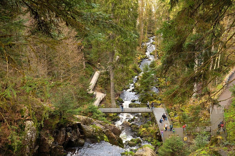 Triberg waterfall in the Black Forest, highest fall in Germany, Gutach river plunges over seven major steps into the valley, wooden bridge