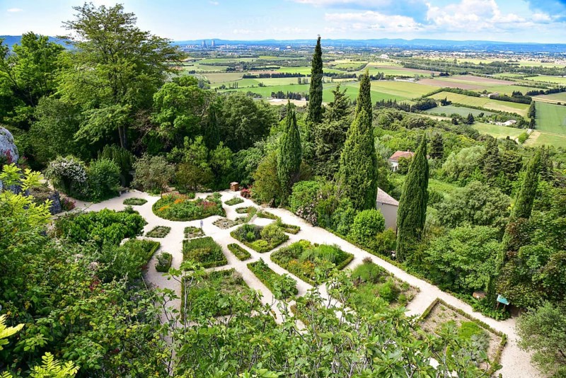 Herb garden in the commune of La Garde-Adhémar in the Département of Drôme in the Auvergne-Rhône-Alpes region, one of the most beautiful villages in France (Plus beaux villages de France), southern France