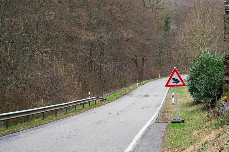 Toad crossing to spawning ground road sign, warning mating season of amphibian animal, wildlife in danger, migration in spring