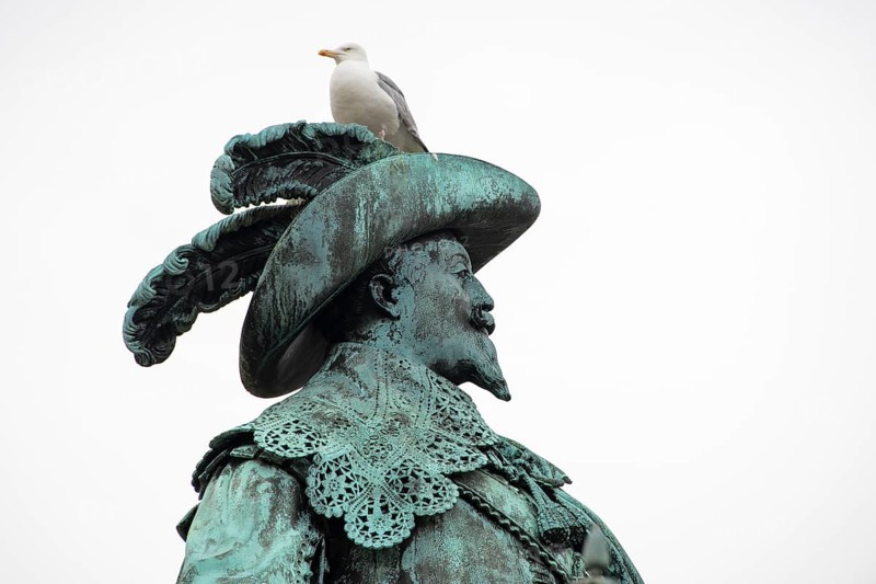 Seagull on statue or statue of Gustaf II Adolf by Bengt Erland Fogelberg, Gothenburg, Västra Gotalands län, Sweden, Europe