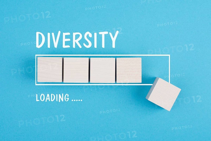 Diversity loading, inclusion, equity and human rights, fairness and respect, no discrimination and racism