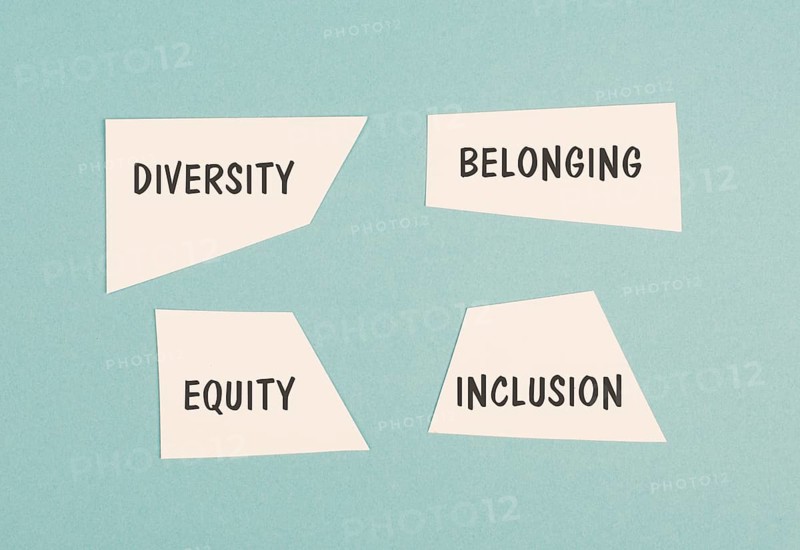 Diversity, equity, belonging and inclusion, human rights, fairness and respect, no discrimination and racism, multiculture and disability
