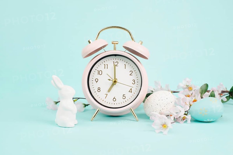 Cute easter bunny or rabbit with an alarm clock, eggs and cherry blossoms, spring holiday, greeting card