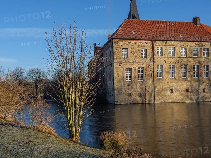 Side view of a historic moated castle with a red roof and a tree on the bank of the pond, lüdinghausen, westphalia, germany