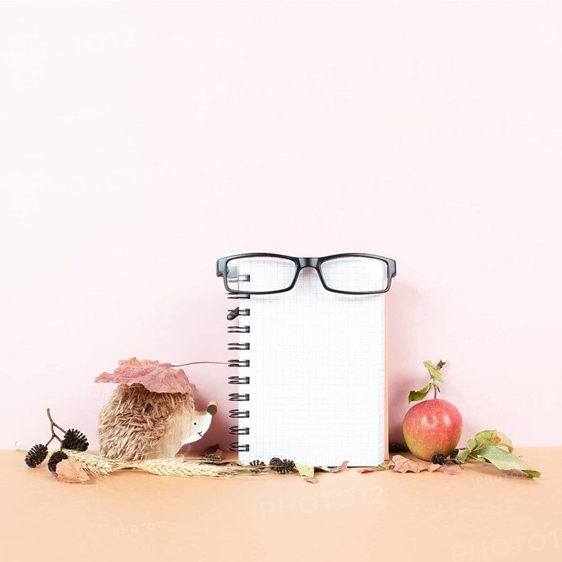 Empty notebook with eyeglasses, an apple and a hedgehog, autumn template with colorful leaves, office desk, pastel color