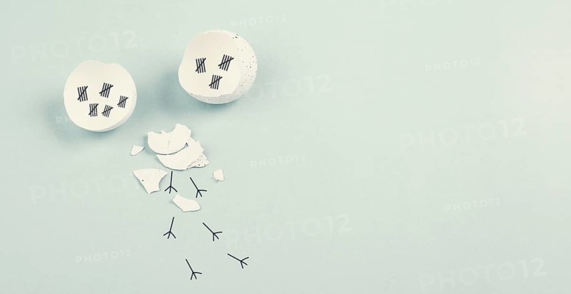Cracked eggshell with tally marks lines or sticks and footprints of a chick, breakout, freedom and birth concept, personal growth and development