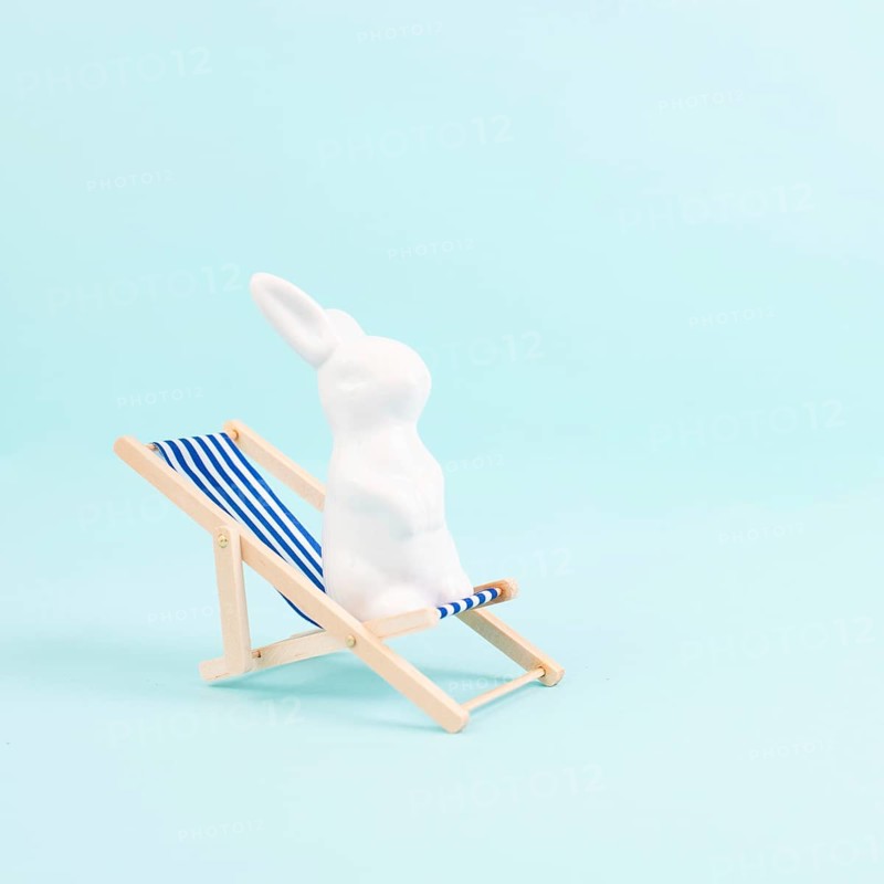 Bunny or rabbit sitting on lounge chair, easter holiday, vacation by the sea