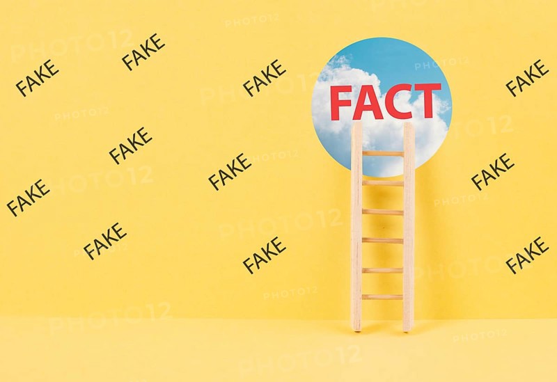 Ladder to the hole in the wall with the word fact, surrounded by fake news, propaganda and conspiracy theory concept, media and manipulation issue