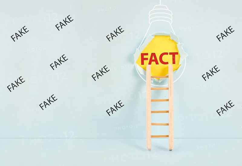 Ladder to the hole in the wall with the word fact, surrounded by fake news, propaganda and conspiracy theory concept, media and manipulation issue