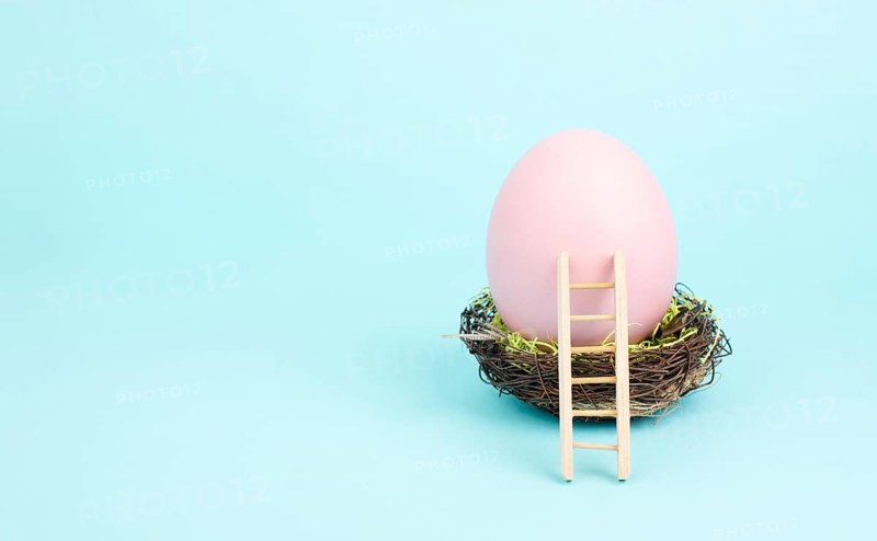 Huge pink colored easter egg in a birds nest and a wooden ladder, spring holiday greeting card