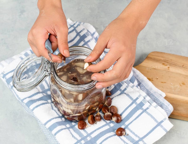 Preparing chestnut liquid soap, cutting buckeye and putting it into a jar with water, alternative homemade detergent for washing clothes