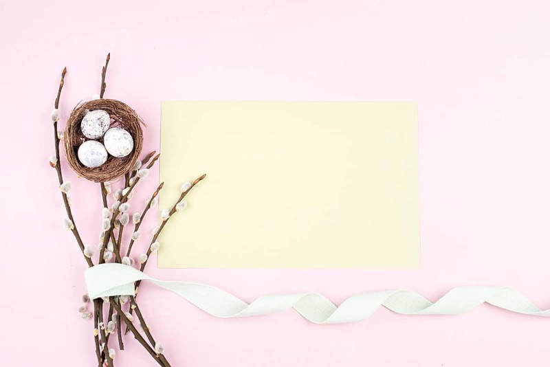 Easter holiday background, wicker nest with small eggs, branches of pussy willow, pastel color, spring season