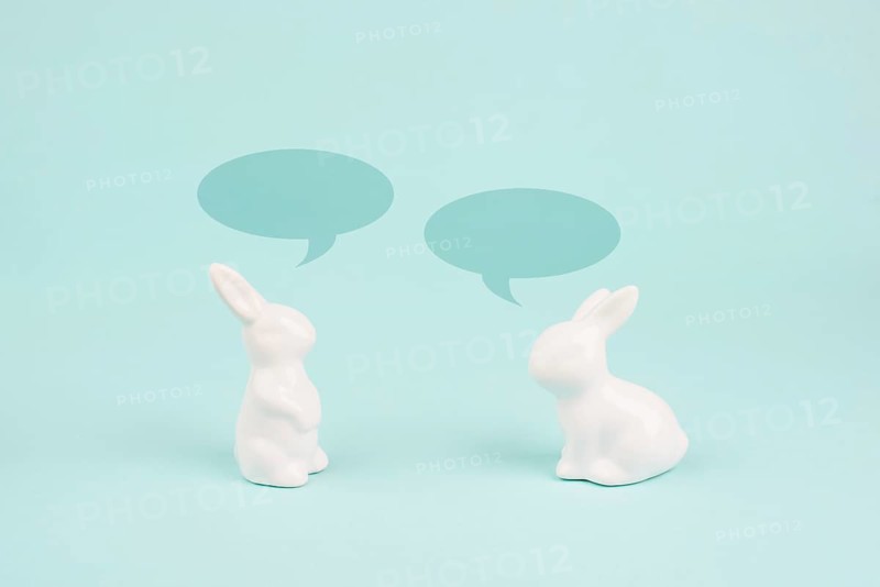 Easter bunny talking together, rabbits have a conversation, spring holiday greeting card with speech bubbles