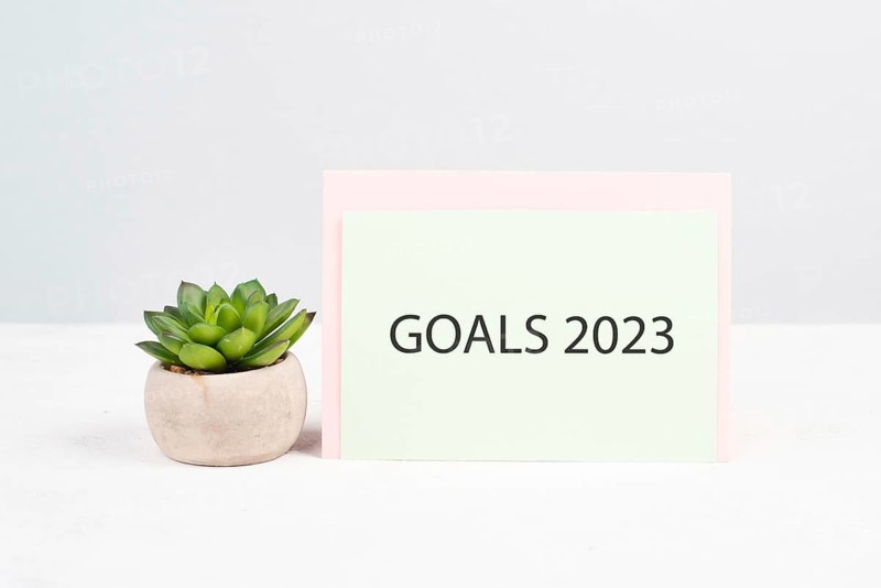 Goals 20223, new year resolution, making plan for the future, business and education concept, lifestyle