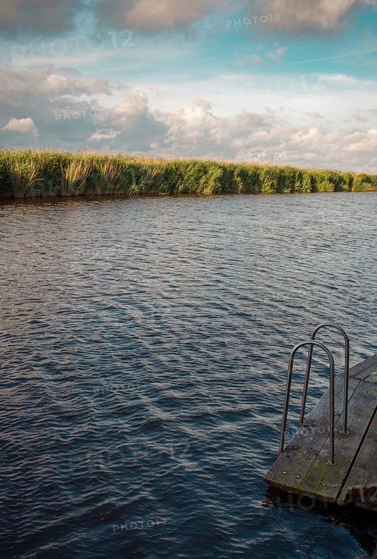 A quiet canal with a wooden footbridge and a ladder in the foreground, surrounded by reed-covered banks under a cloudy sky, Ilpendam, Netherlands