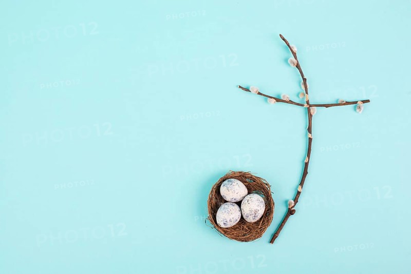 Religious cross made from willow branches, easter nest with eggs, belief, faith and spirituality in religon, resurrection of Jesus Christ, christianity