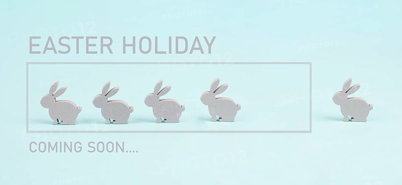 Cute easter bunny or rabbit in a row, loading bar for spring holiday, pastel color, minimal greeting card