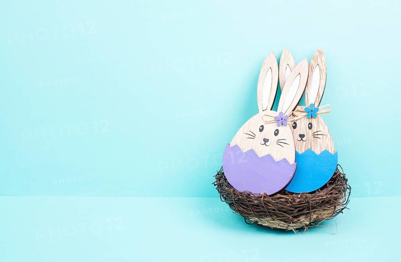 Easter bunny or rabbit couple cuddle together in a wicker nest, wooden egg, spring holiday greeting card, blue and purple color