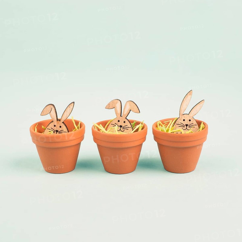 Cute easter bunny or rabbit baby in a flower pot, spring holiday greeting card