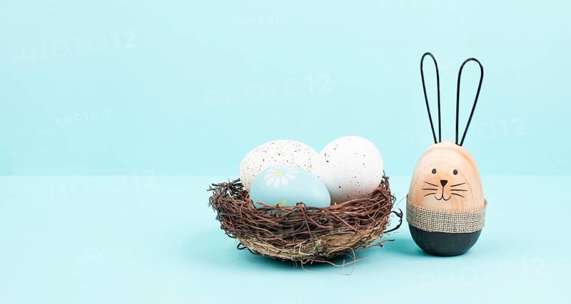 Easter bunny or rabbit group with wicker basket, willow branches, wooden egg, spring holiday greetings
