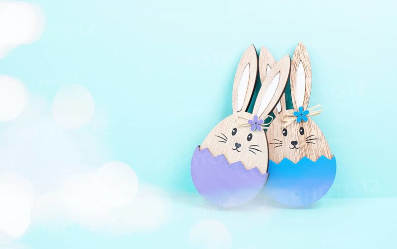Easter bunny or rabbit couple cuddle together, wooden egg, spring holiday greeting card, bokeh fairy light, blue and purple color