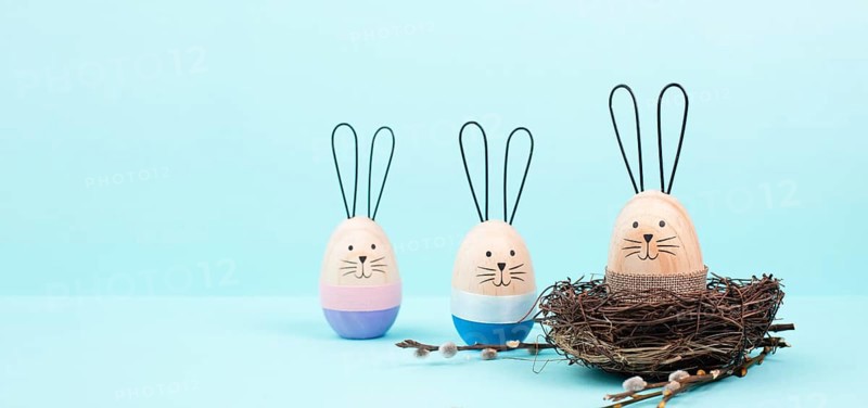 Easter bunny or rabbit group with wicker basket, willow branches, wooden egg, spring holiday greetings