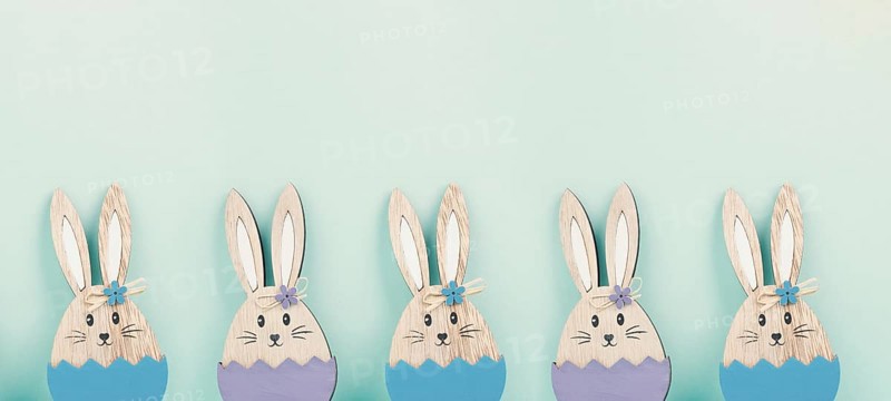 Panoramic easter holiday greeting card with cute bunnies, rabbits in spring, banner or header