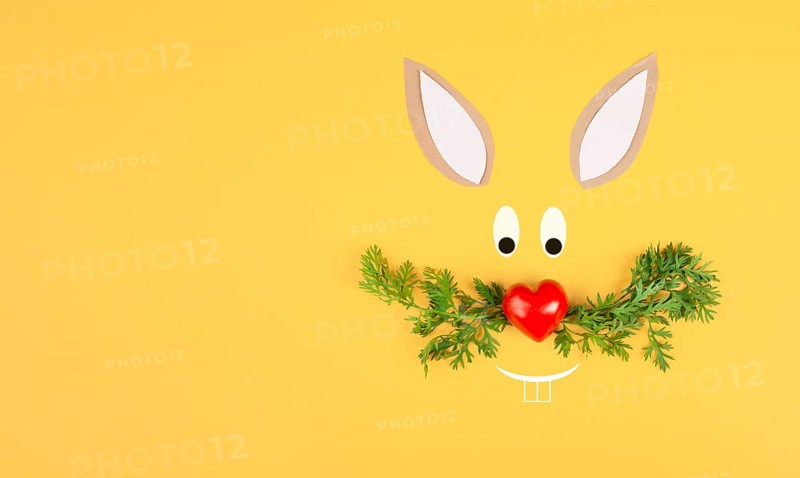 Easter bunny face with a heart shaped nose and whiskers from carrot leaves, holiday greeting card, spring season