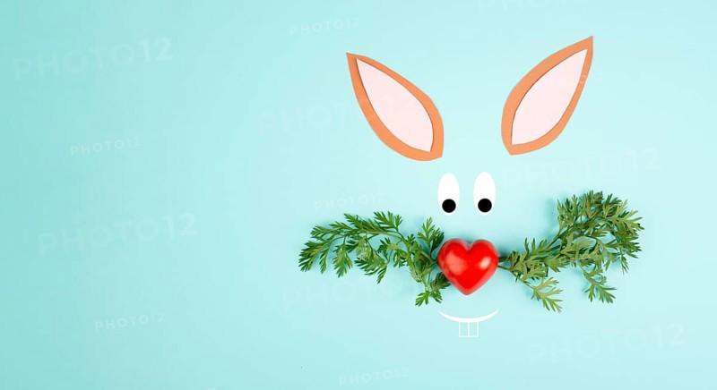 Easter bunny face with a heart shaped nose and whiskers from carrot leaves, holiday greeting card, spring season