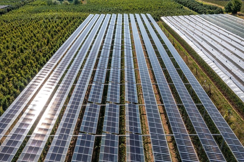 Agri-photovoltaic test plant, an apple orchard with two different systems of PV modules was roofed over 3000 square metres, rain and sunlight comes through, at the same time protection against hail and heavy rain, next to it are the same trees but without a solar roof, as a comparison object, how the PV roof affects the trees and harvest, the field test is accompanied by the Fraunhofer Institute for Solar Energy Systems ISE, in Grafschaft-Gelsdorf, Rhineland-Palatinate, Germany, Europe