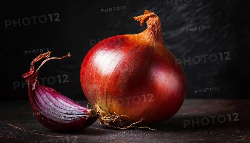 Vegetables, onion, Allium cepa, single ripe onion and a piece of shallot bulb, still life in studio, dark background