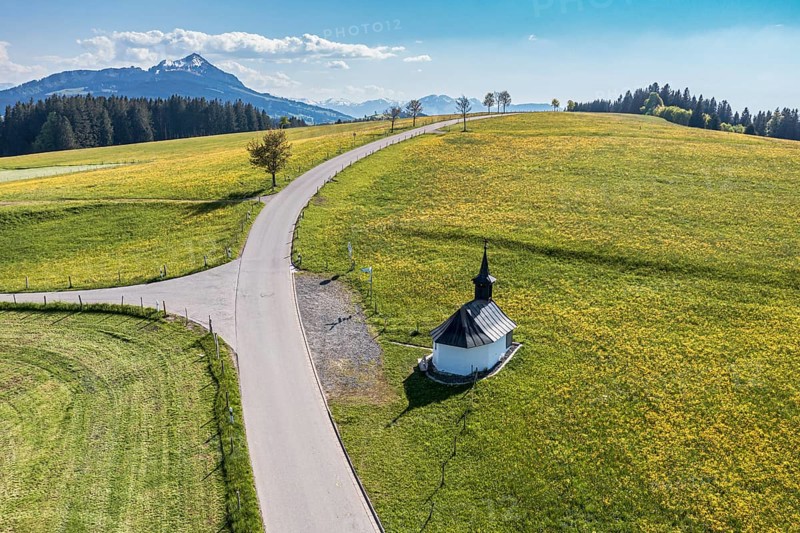 Aerial view of rural road in blomstering meadows, small chapel, mountain Grünten in the back, Allgäu, Germany, Europe