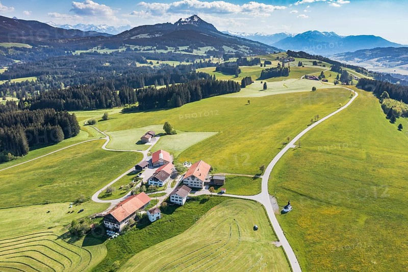 Aerial view of rural road in blomstering meadows, large farm Gereute with small chapel, mountain Gruenten in the back, Allgäu, Germany, Europe