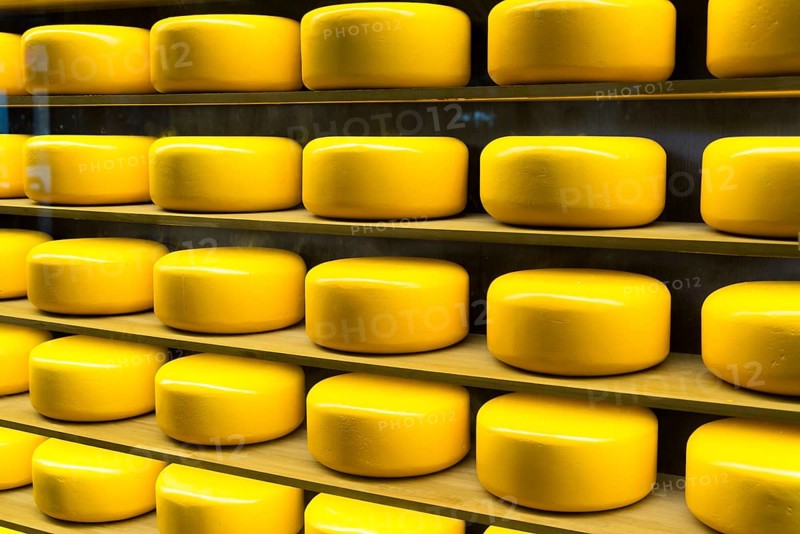 Round cheese heads in a shop window