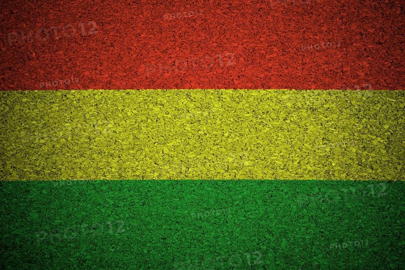 The Bolivian flag painted on a cork board