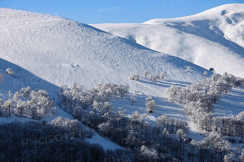 Winter mountain landscape with fir trees on the hill. Carpathian Mountains, Ukraine, Europe