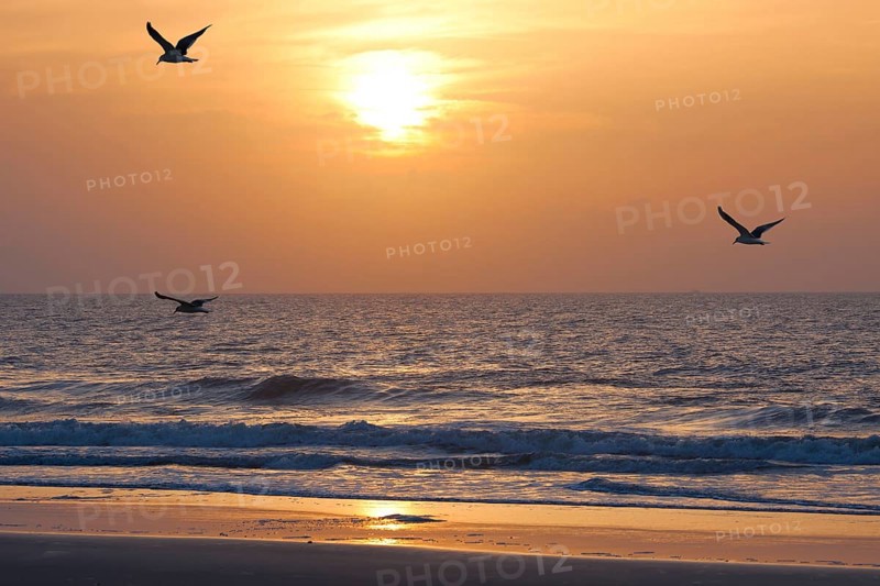 Sunset on the atkantic ocean. Florida, USA, North America