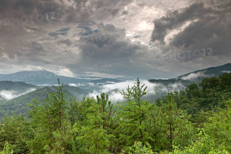 Early morning fog and cloud mountain valley landscape. Great Smoky Mountain National Park, Tennessee, USA, North America