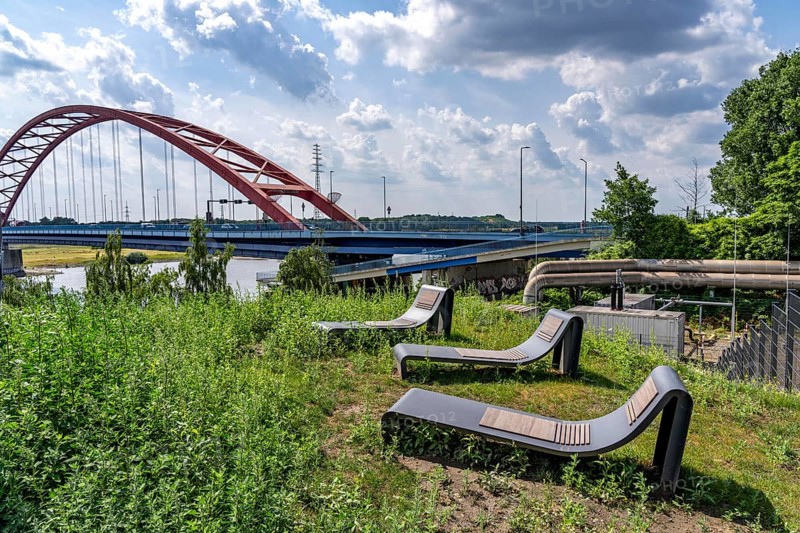 The Rheinpark in Duisburg-Hochfeld, on the Rhine, over 150 years a site for heavy industry, now a 60-hectare leisure area, over 3000 newly planted climate-resilient trees, with plenty of open space, playgrounds and sports fields, will be part of the IGA2027, North Rhine-Westphalia, Germany, Europe