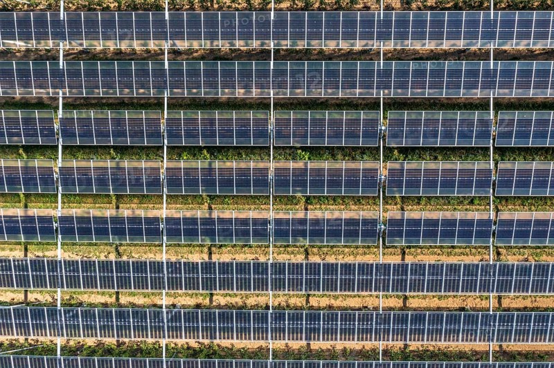 Agri-photovoltaic test plant, an apple orchard with two different systems of PV modules was roofed over 3000 square metres, rain and sunlight comes through, at the same time protection against hail and heavy rain, next to it are the same trees but without a solar roof, as a comparison object, how the PV roof affects the trees and harvest, the field test is accompanied by the Fraunhofer Institute for Solar Energy Systems ISE, in Grafschaft-Gelsdorf, Rhineland-Palatinate, Germany, Europe