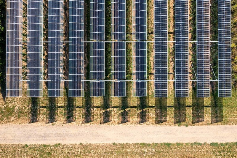 Agri-photovoltaic test plant, an apple orchard with two different systems of PV modules was roofed over 3000 square metres, rain and sunlight comes through, at the same time protection against hail and heavy rain, next to it are the same trees but without a solar roof, as a comparison object, how the PV roof affects the trees and harvest, the field test is accompanied by the Fraunhofer Institute for Solar Energy Systems ISE, in Grafschaft-Gelsdorf, Rhineland-Palatinate, Germany, Europe