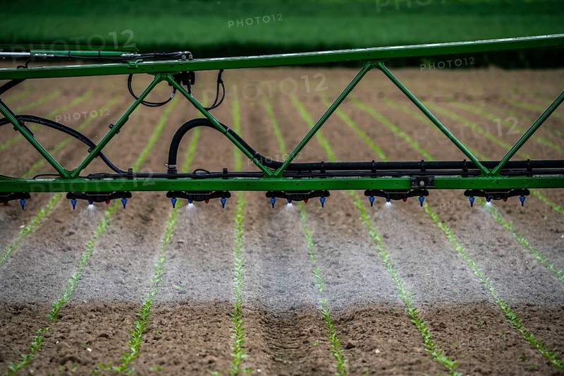 Agriculture, pesticide being sprayed on a field, sugar beet seedlings, North Rhine-Westphalia, Germany, Europe