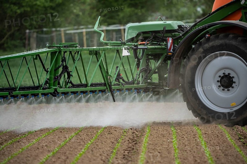 Agriculture, pesticide being sprayed on a field, sugar beet seedlings, North Rhine-Westphalia, Germany, Europe