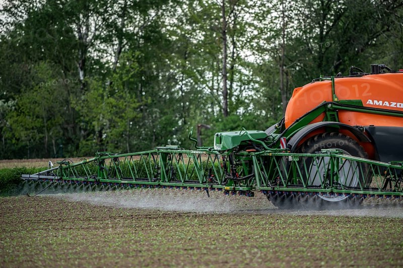 Agriculture, pesticide being sprayed on a field, sugar beet seedlings, North Rhine-Westphalia, Germany, Europe