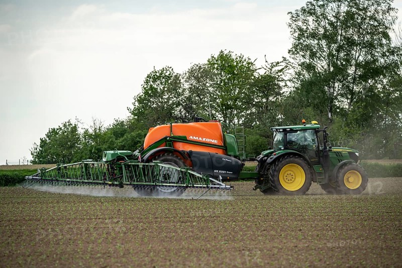 Agriculture, pesticide being sprayed on a field, sugar beet seedlings, North Rhine-Westphalia, Germany, Europe