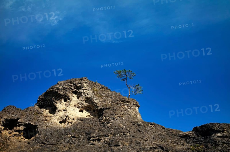 Dolomite rocks, sea of rocks, Wental, Barholomä, Swabian Alb, Baden-Württemberg, Germany, Europe